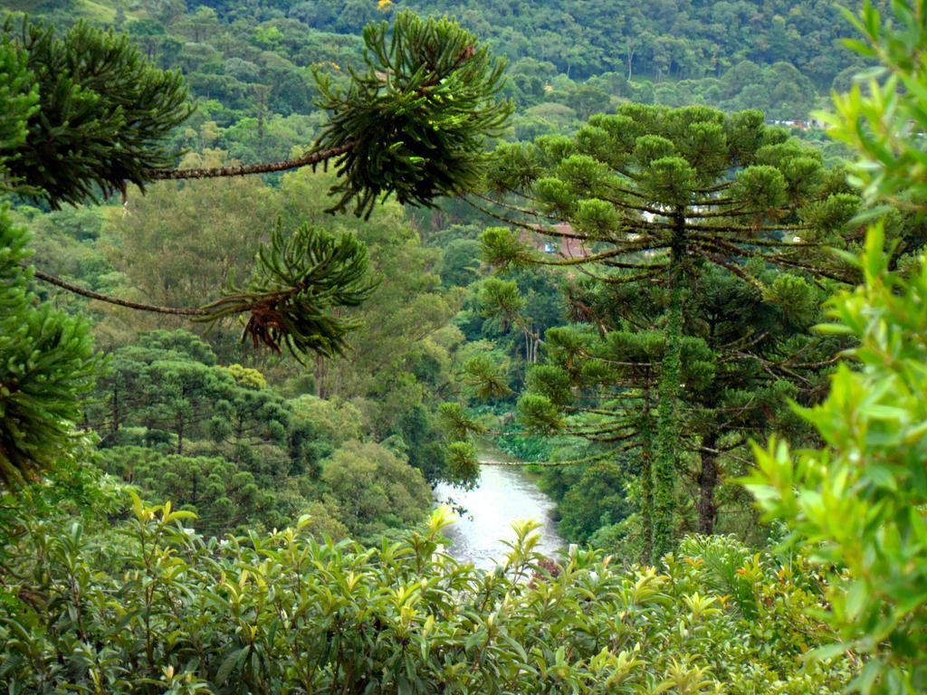 Pousada Lilaceas Visconde De Maua Bagian luar foto